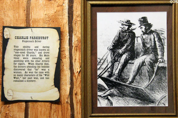 Graphic depicting Charlie Parkhurst, a woman who masqueraded as a man while driving stagecoaches at El Dorado County Historical Museum. Placerville, CA.