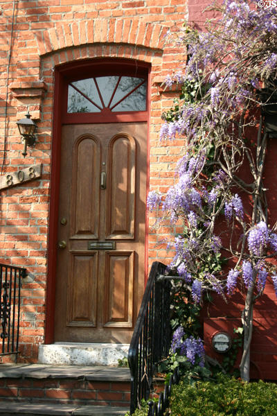 Row house (808 A St. SE) with wisteria in bloom. Washington, DC.