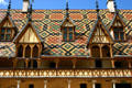 Roof details of Hotel Dieu. Beaune, France.