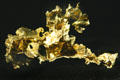 Gold nugget at Gold Rush History Center. Sacramento, CA.