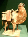 China: Six dynasty earthenware Bactrian camel in Asian Art Museum. San Francisco, CA