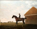 Turf, with Jockey up, at Newmarket painting by George Stubbs at Yale Center for British Art. New Haven, CT.