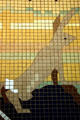 Mosaic floor of jackrabbit by Wesley Huenefeld at Aurora Plainsman Museum. Aurora, NE