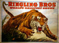 Tiger Lithograph for Ringling Bros Circus attributed to Jonathan Livingston Bull at Circus World Museum. Baraboo, WI