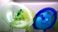 Green & blue Fostoria glass luncheon trays with fleur-de-lys handles at Fostoria Glass Museum. Moundsville, WV.
