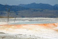 Landscape around Mammoth Hot Springs in Yellowstone National Park. WY.