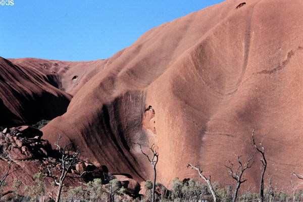 Curves of Uluru (aka Ayers Rock). Australia.