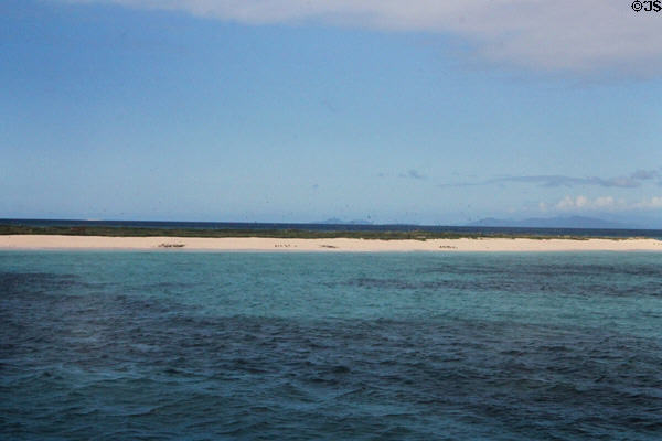 Flat sandy banks of Barrier Reef in Queensland. Australia.