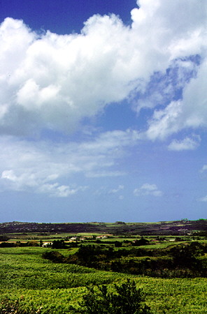 The view northwest from Gun Hill Signal Station. Barbados.