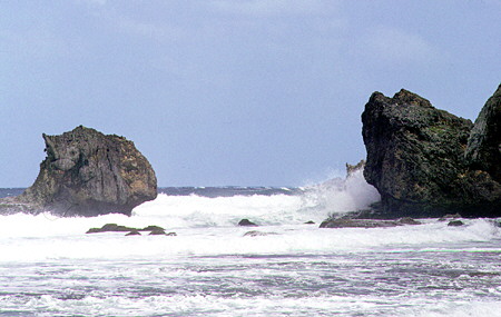 Coast & rock formations near Bathsheba. Barbados.