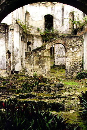 Inside the ruins of the manor at Farley Hill National Park. Barbados.