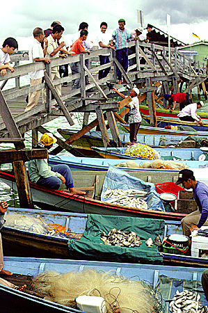 Fish market in Kampung Ayer, Bandar Seri Begawan. Brunei.