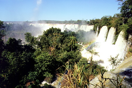Variety of vegetation surrounds Iguaçu Falls. Brazil.