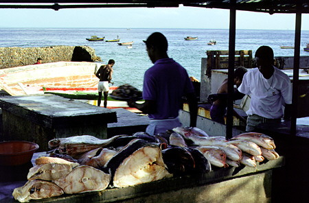 Preparing fish in Barra, Salvador. Brazil.