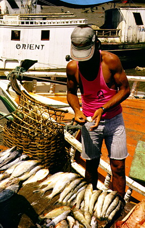Fisherman selling his catch on the harbor of Belém. Brazil.