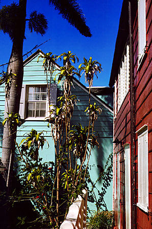 Balcony House (red) & Veranda House (blue). Nassau, The Bahamas.