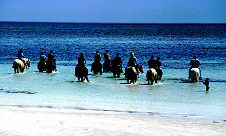 Horseback riders wade into water on Williamstown Beach. The Bahamas.