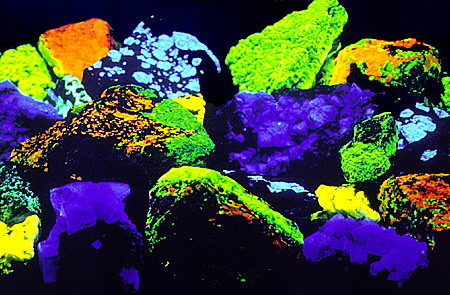 Minerals under black light at Glenbow Museum. Calgary, AB.