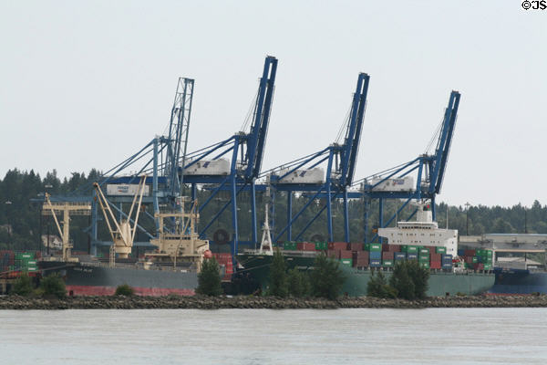 Fraser Surrey Container Docks. New Westminster, BC.