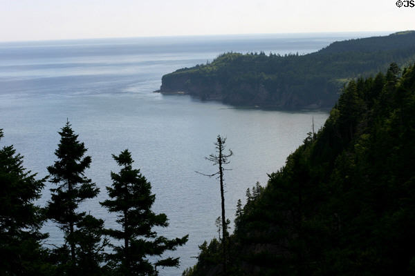 Cliffs along Fundy Trail Parkway. NB.