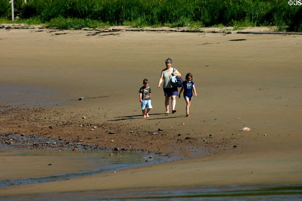Family walks along beach of Bay of Fundy. NB.