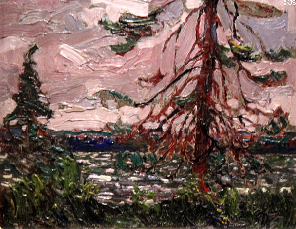 Ragged Pine painting on board (1916) by Tom Thomson at McMichael Gallery. Kleinburg, ON.