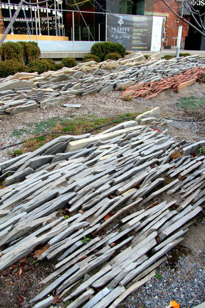 Landscaping at Gardiner Museum. Toronto, ON.