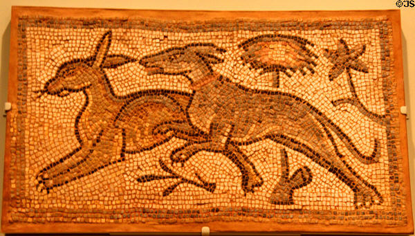 Floor mosaic with hound chasing hare (c500-600 CE) from Eastern Mediterranean at Royal Ontario Museum. Toronto, ON.