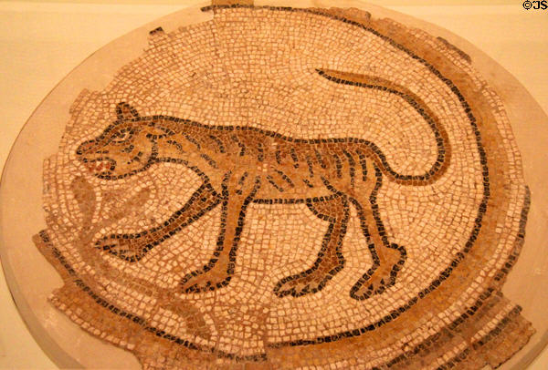 Floor mosaic with tiger (c500-600 CE) from Eastern Mediterranean at Royal Ontario Museum. Toronto, ON.