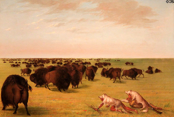 Buffalo Herd Grazing painting (1857) by George Catlin at Royal Ontario Museum. Toronto, ON.