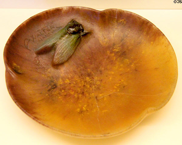 Glass dish with cicada on leaf (c1910) by Amalric Walter for Daum of Nancy, France at Royal Ontario Museum. Toronto, ON.