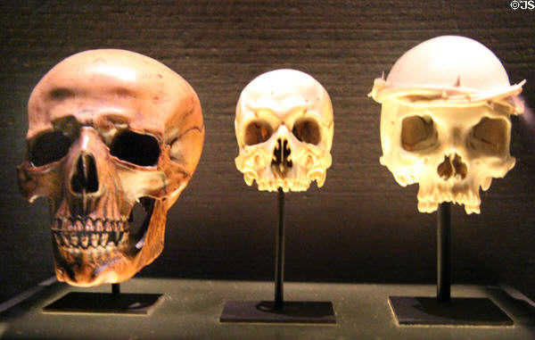 Carved miniature skulls (17thC) from Germany at Art Gallery of Ontario. Toronto, ON.