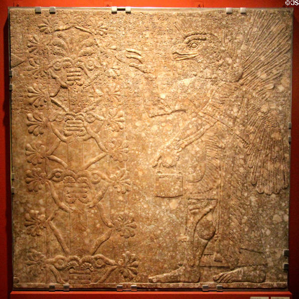 Genie before Sacred Tree alabaster wall relief (before 877 BCE) from Palace of Assurnasirpal II, Nimrud, Assyria at Montreal Museum of Fine Arts. Montreal, QC.