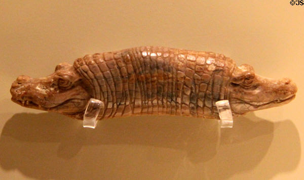 Carved ivory crocodile heads (664-525 BCE 26th dynasty) from Egypt at Montreal Museum of Fine Arts. Montreal, QC.