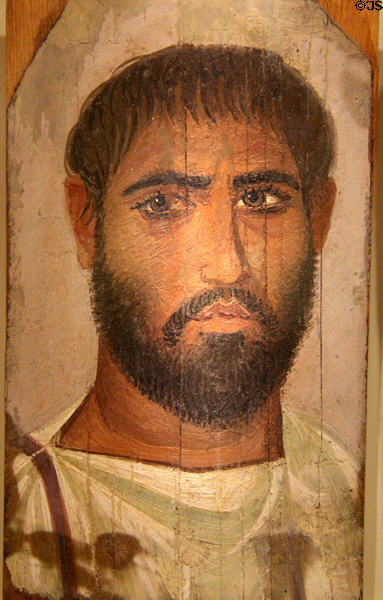 Egyptian mummy portrait of bearded young man (late 2ndC - early 3rdC CE) at Montreal Museum of Fine Arts. Montreal, QC.