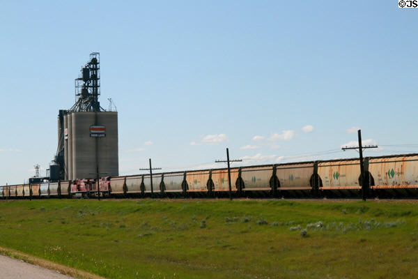 Potash bulk train at Reed Lake. SK.