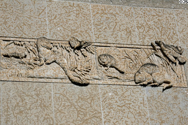 Otters & beavers carved on frieze of Royal Saskatchewan Museum. Regina, SK.