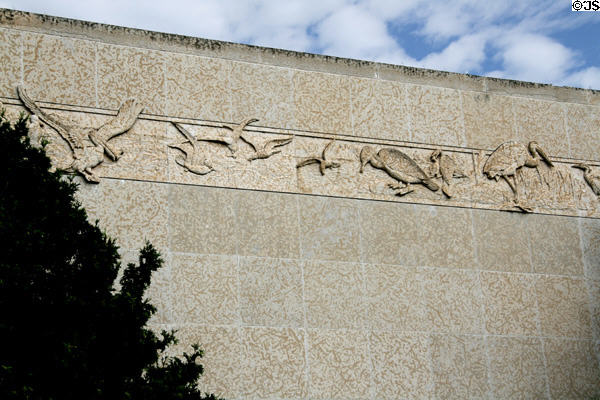 Birdlife carved on frieze of Royal Saskatchewan Museum. Regina, SK.