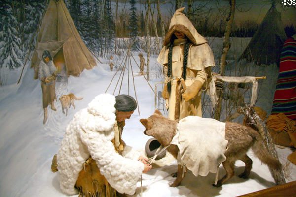Cree & Assiniboin camp at Royal Saskatchewan Museum. Regina, SK.