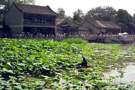 Water lilies at the shore in front of buildings in Summer Palace park, Beijing. China.