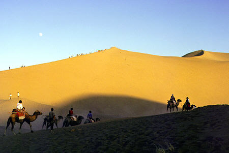 Traveling across Singing Sand Mountains of Dunhuang by camel. China.