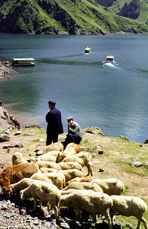 Sheep and herders along shore of Heavenly Lake. China.