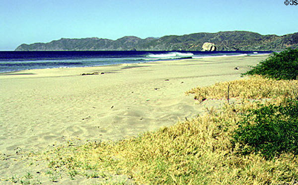 Sandy beach at Santa Rosa National Park. Costa Rica.