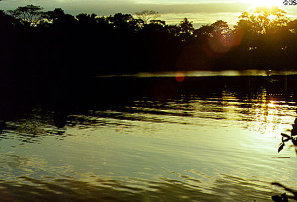 Sunset above the tree line in Tortuguero. Costa Rica.