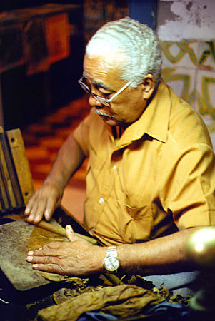 Cigar maker in Havana. Cuba.