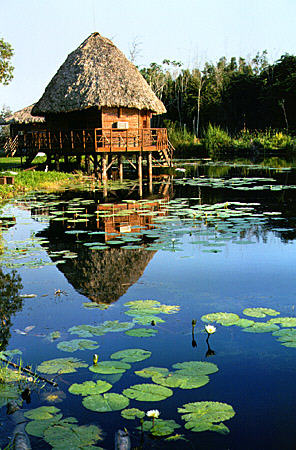 One of many thatched huts of Indian Village Hotel, Guama. Cuba.