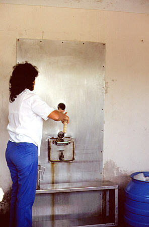 Cane press for sugar drink in Varadero. Cuba.