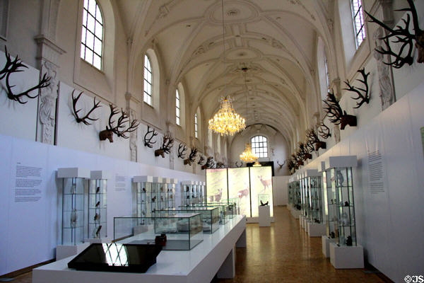 Gallery of German Hunting & Fishing Museum with collections of antlers & showcases of statuettes of game animals. Munich, Germany.