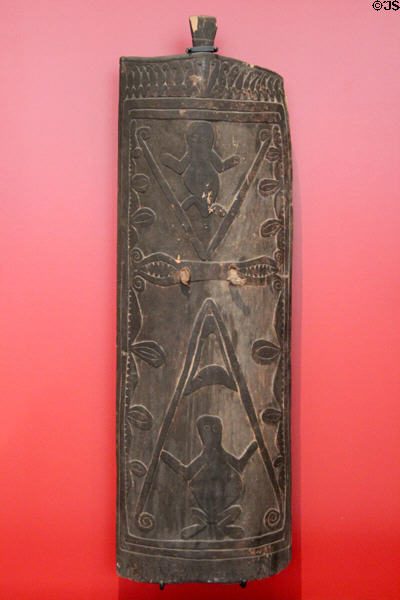 Carved shield with reptiles or frogs from Papua New Guinea at Five Continents Museum. Munich, Germany.