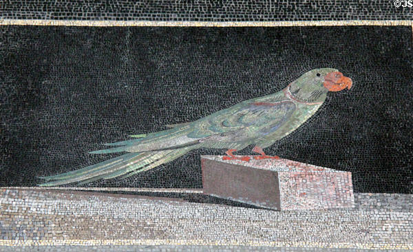 Hellenistic mosaic with Alexandrine parakeet (160-150 BCE) in altar chamber' of palace V at Pergamon Museum. Berlin, Germany.